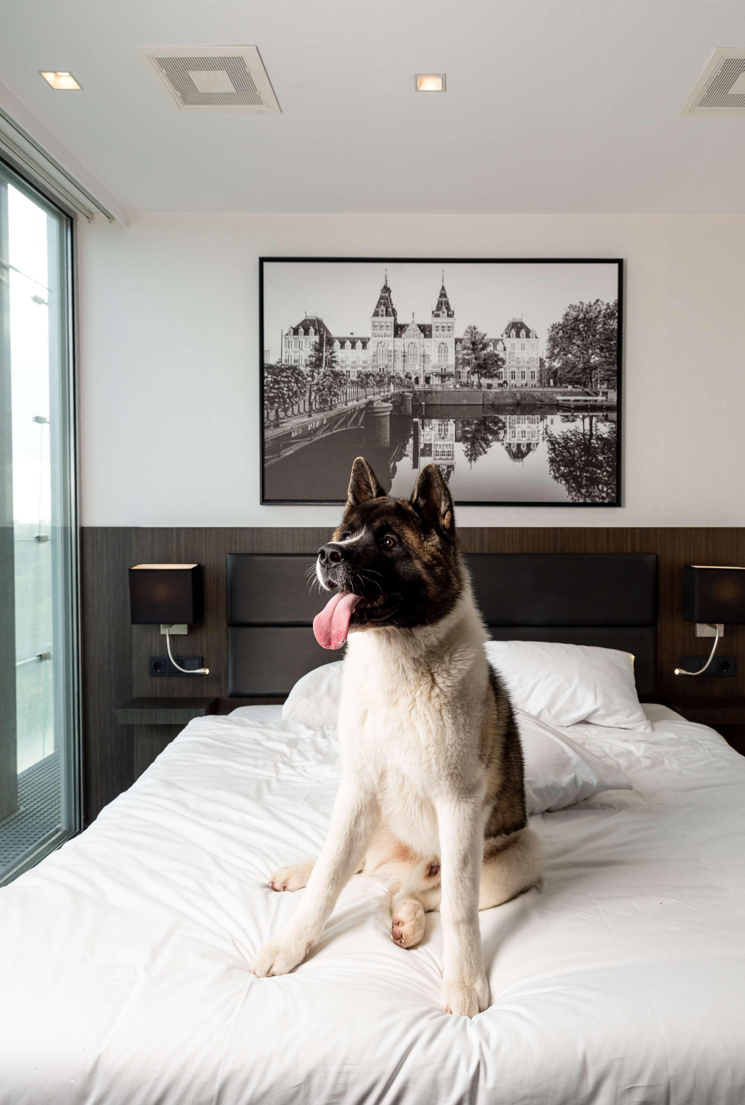 Radisson Hotel And Suites Amsterdam South Zewnętrze zdjęcie